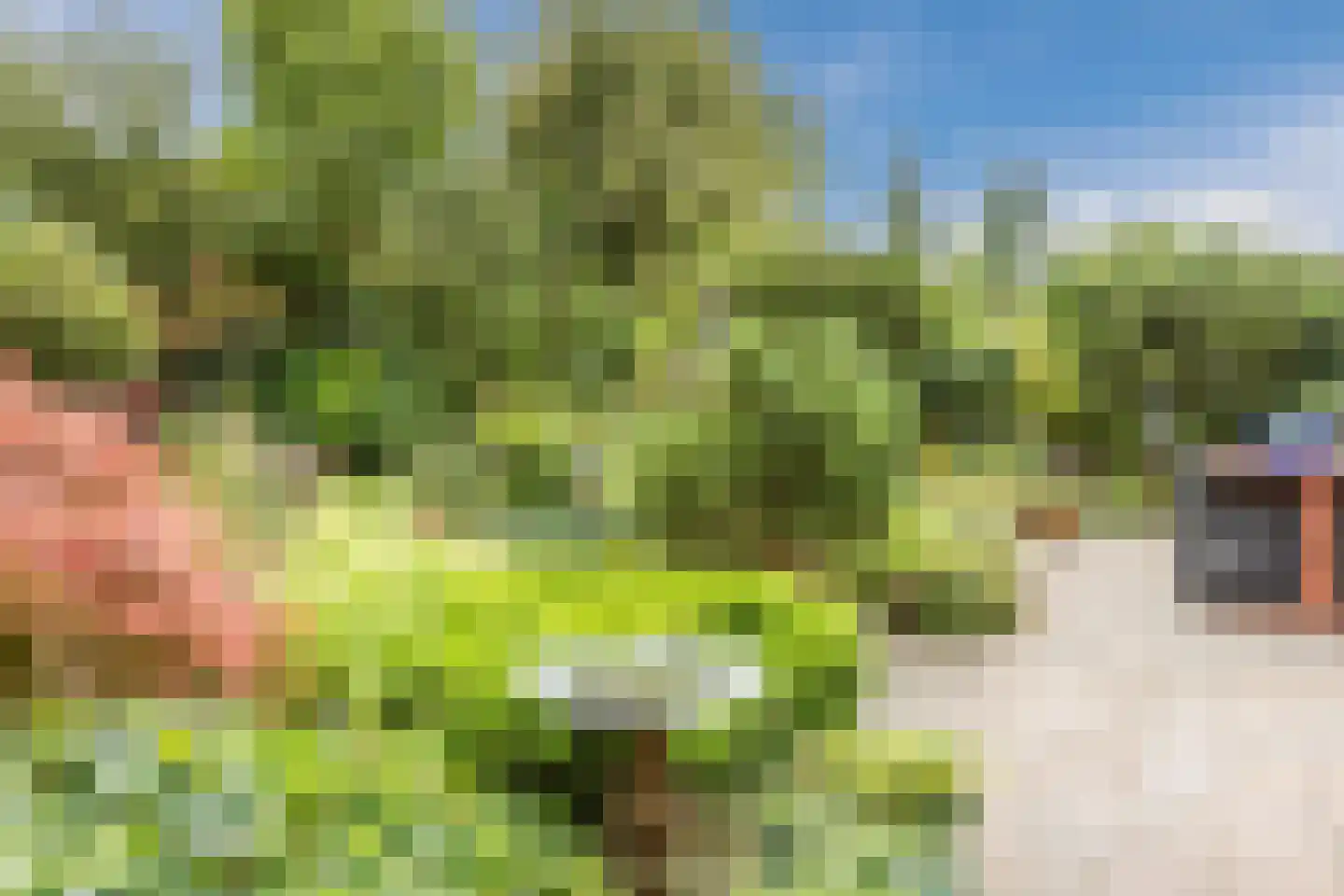 Vrouwenlaan 80 Zwolle thumbnail 47