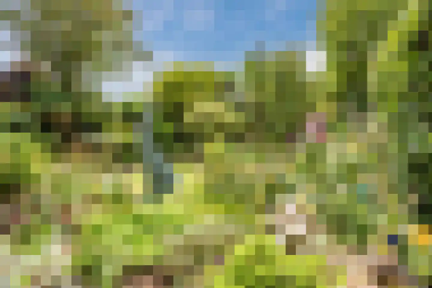 Vrouwenlaan 80 Zwolle thumbnail 49