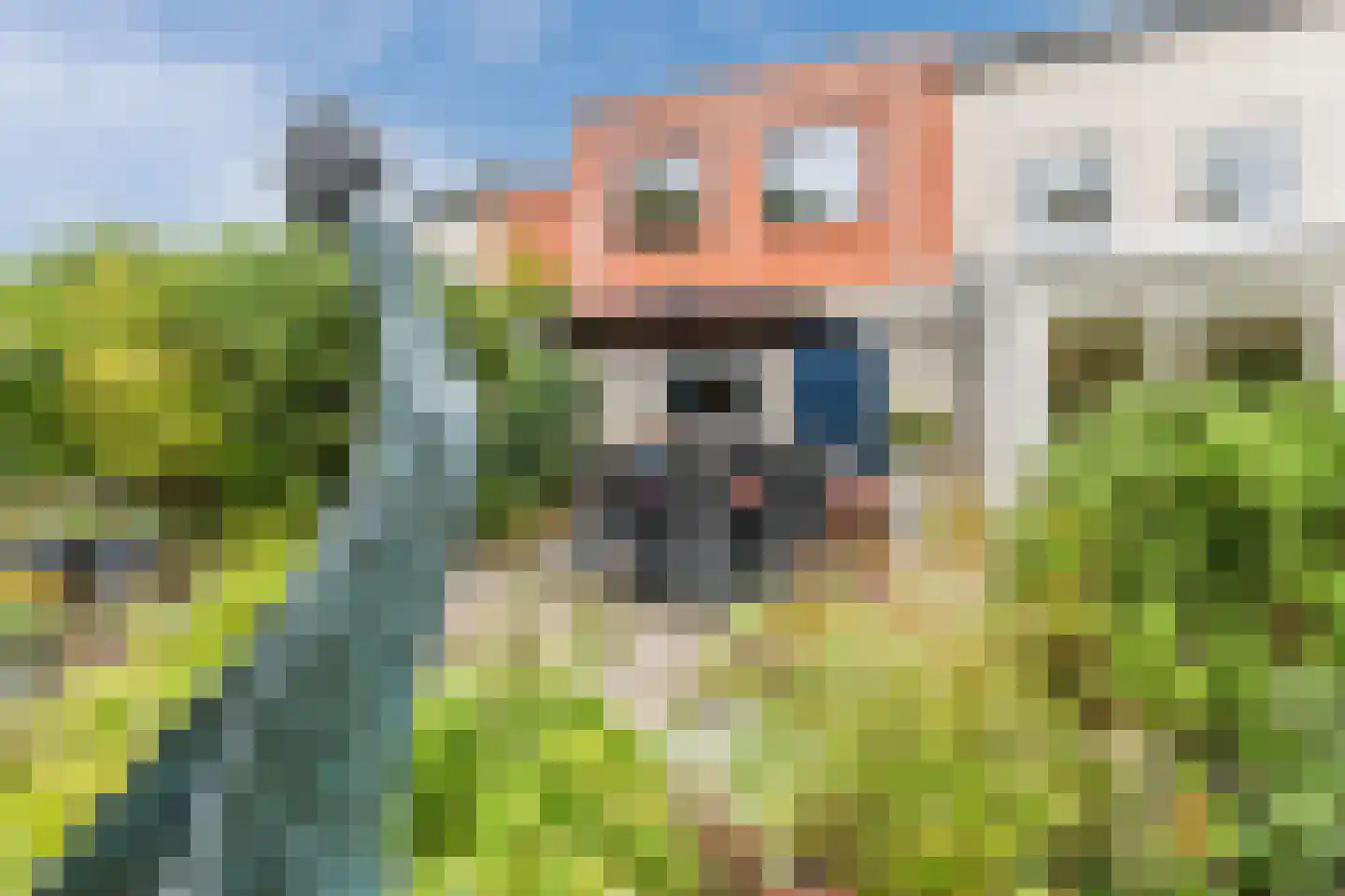 Vrouwenlaan 80 Zwolle thumbnail 51