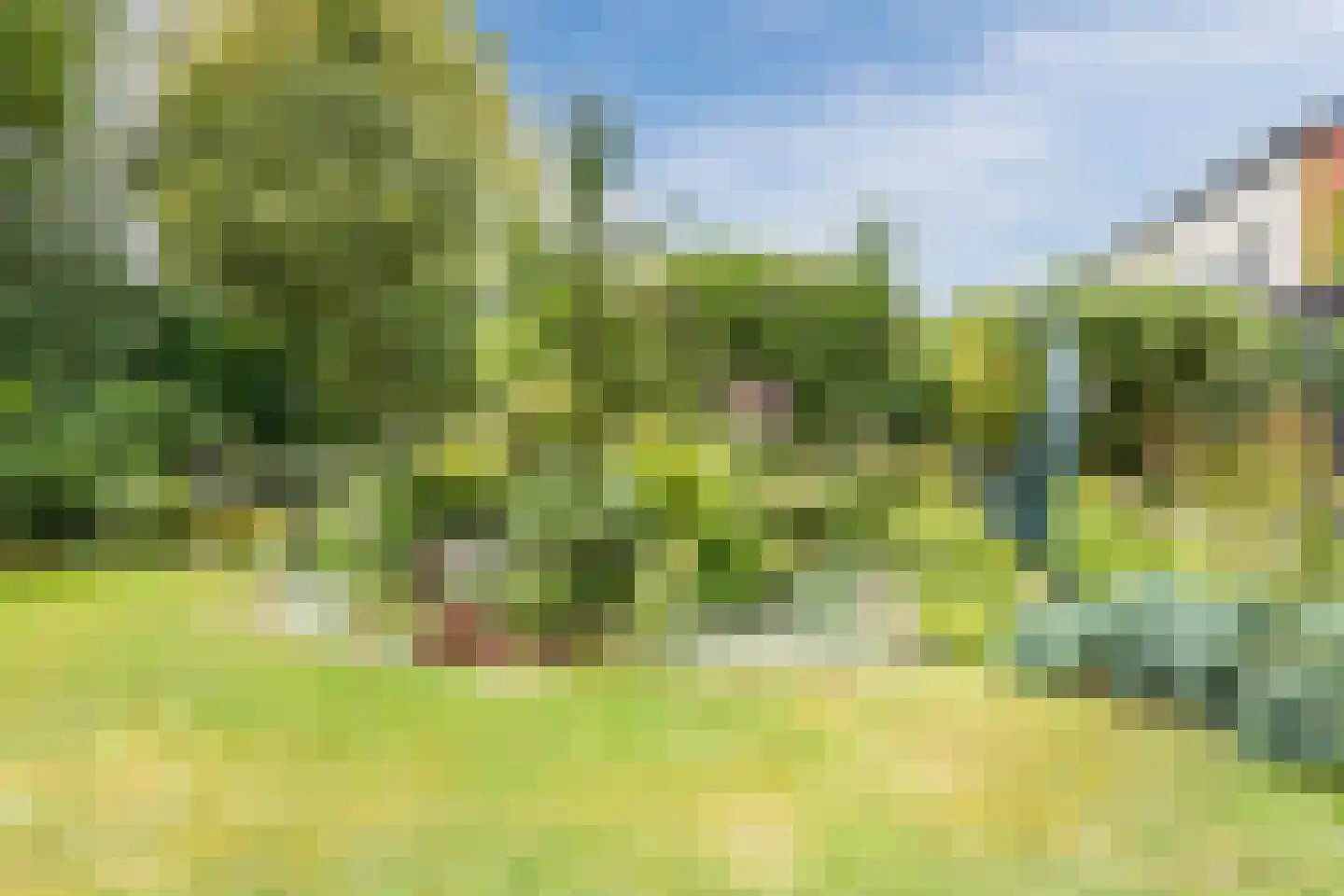 Vrouwenlaan 80 Zwolle thumbnail 52