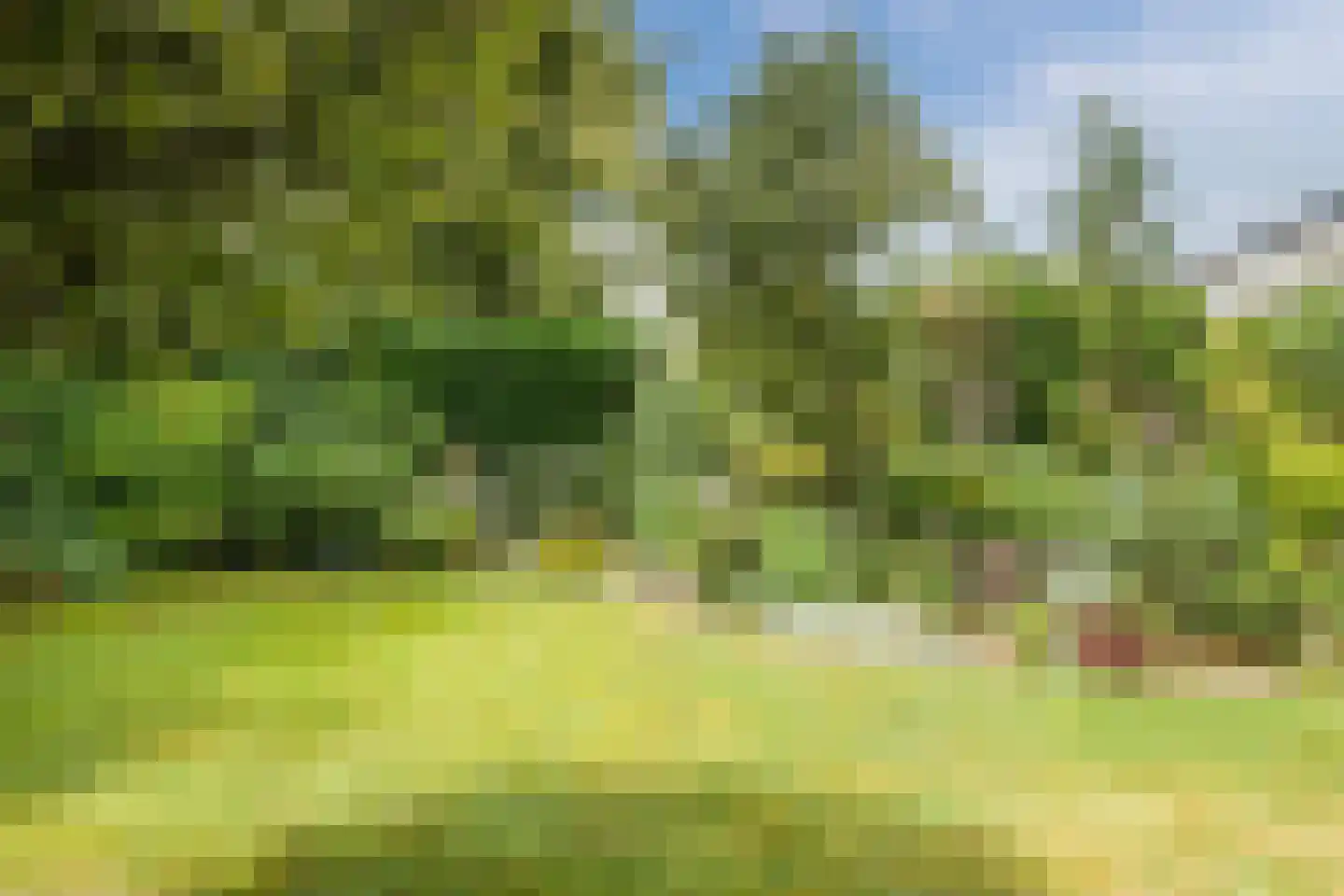 Vrouwenlaan 80 Zwolle thumbnail 54