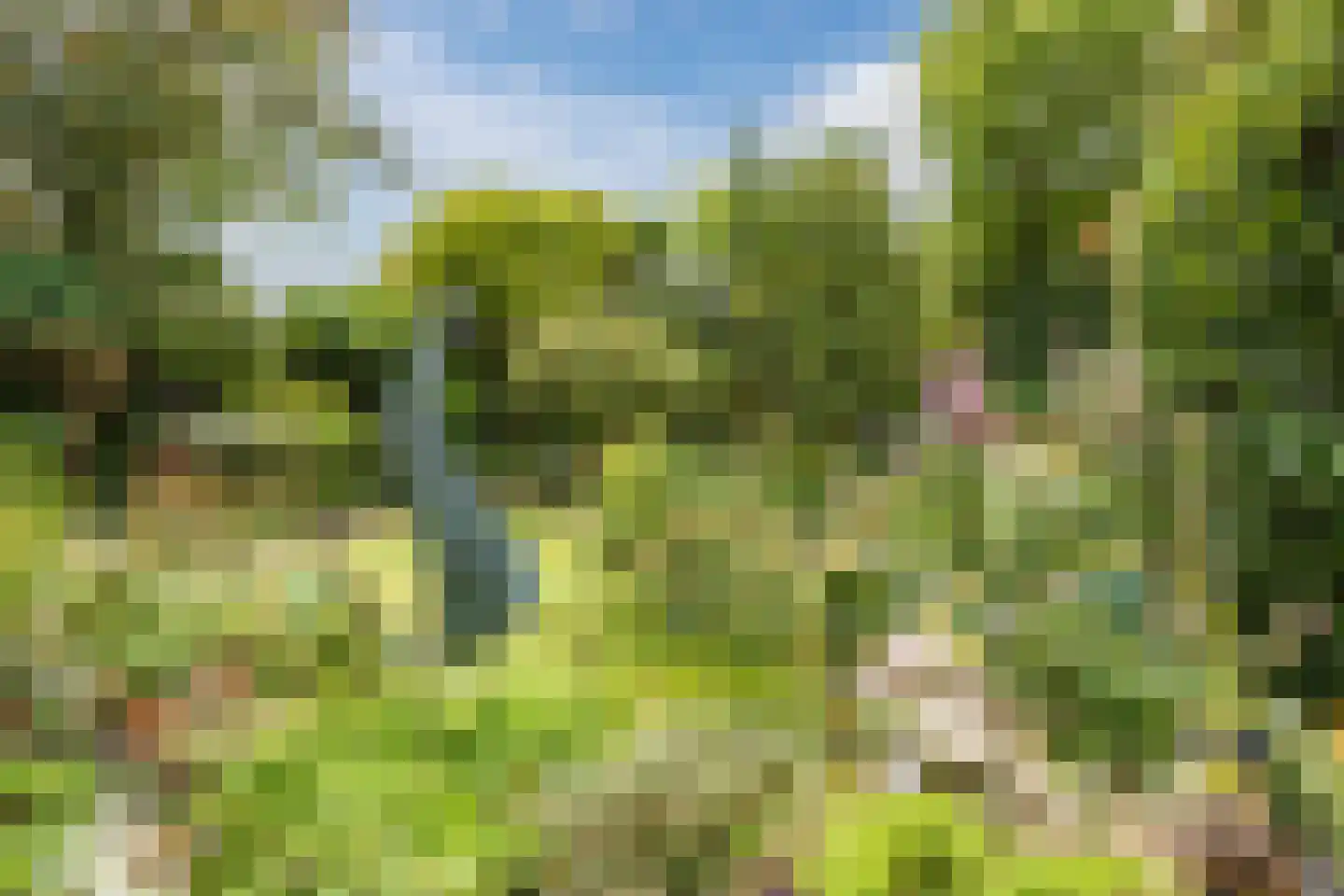 Vrouwenlaan 80 Zwolle thumbnail 6
