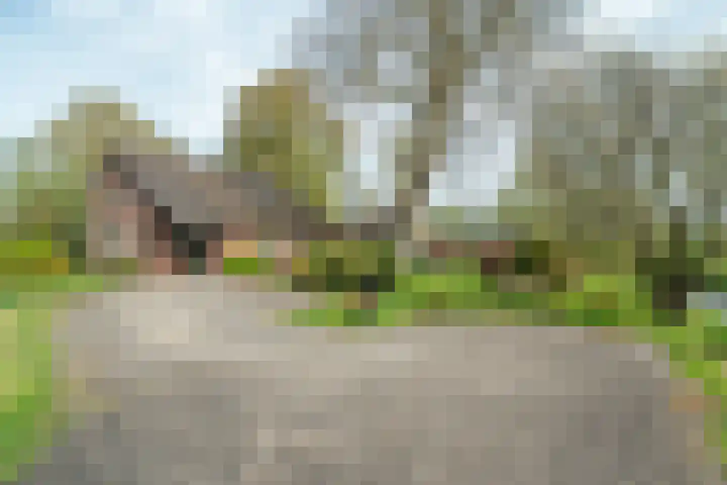 Vrouwenlaan-achter 2 Kolham thumbnail 10
