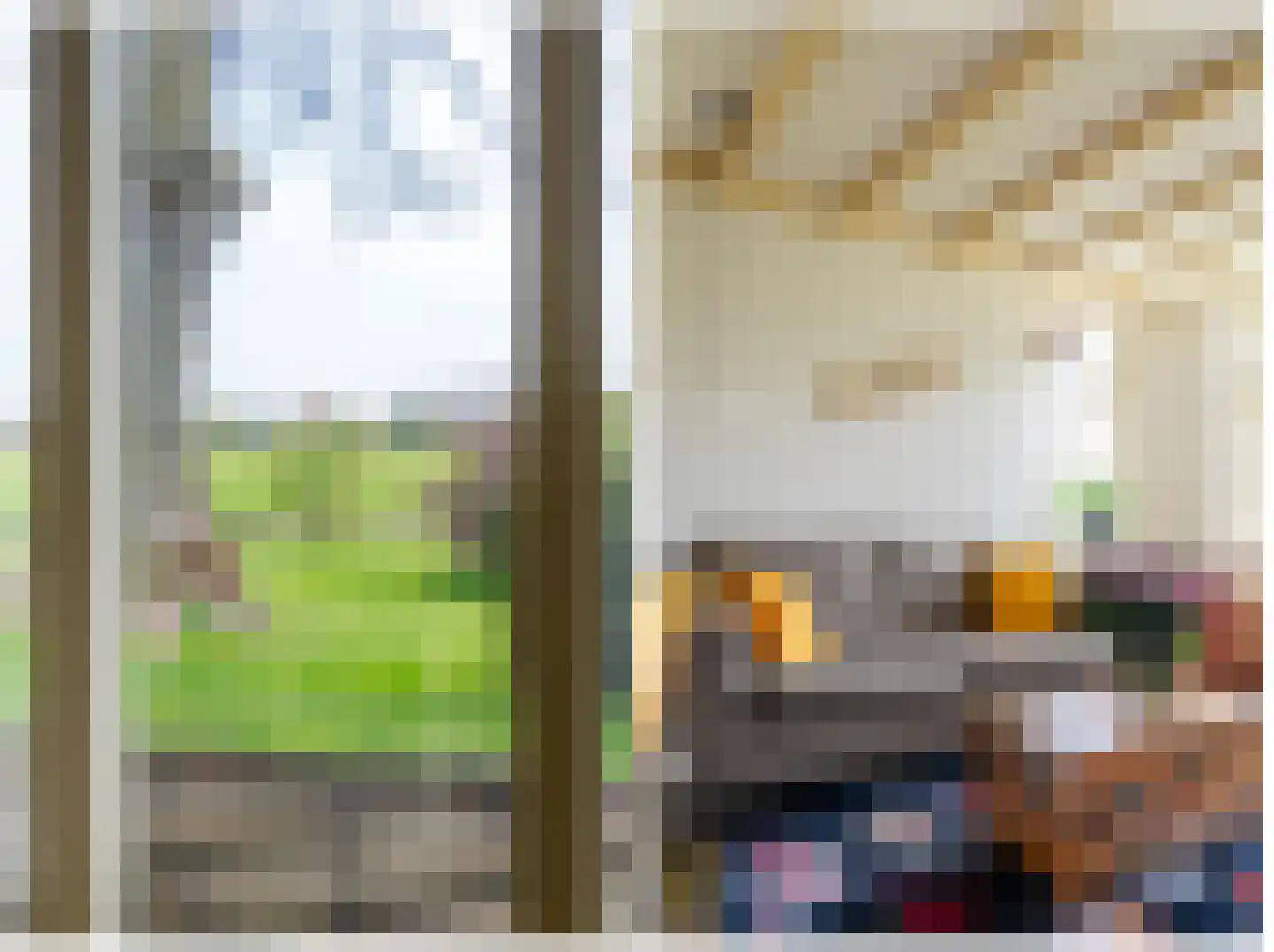 Vrouwenlaan-achter 2 Kolham thumbnail 16