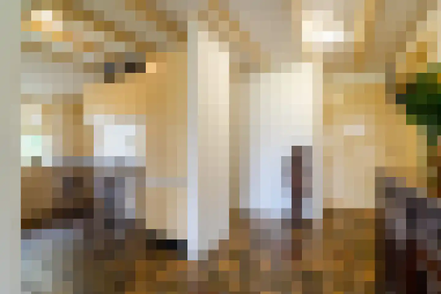 Vrouwenlaan-achter 2 Kolham thumbnail 27