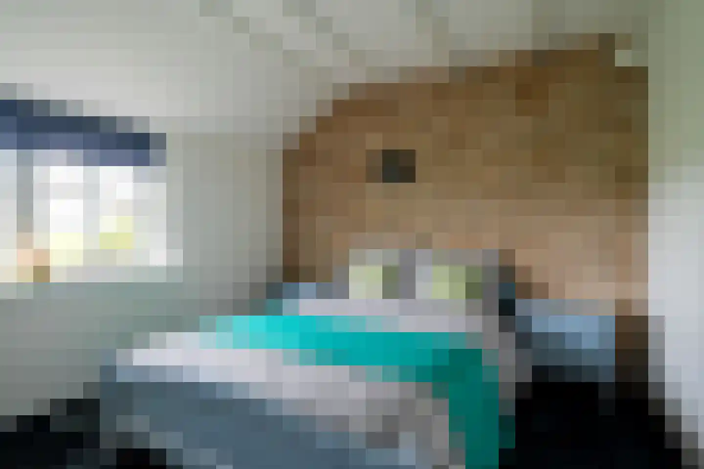 Vrouwenlaan-achter 2 Kolham thumbnail 29