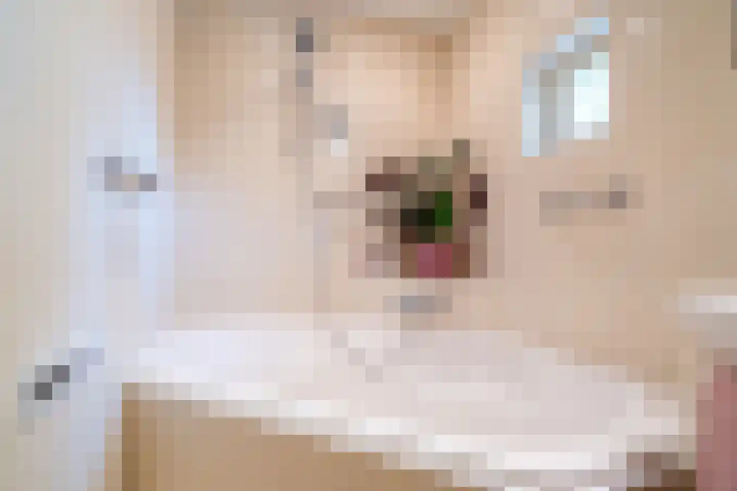 Vrouwenlaan-achter 2 Kolham thumbnail 34