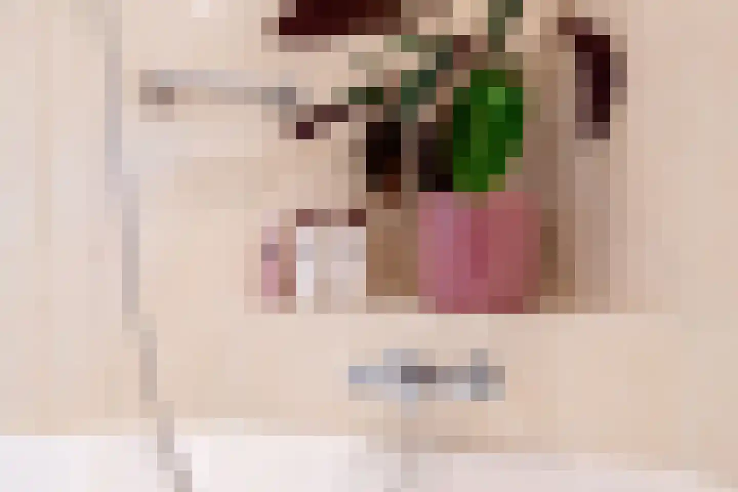 Vrouwenlaan-achter 2 Kolham thumbnail 35