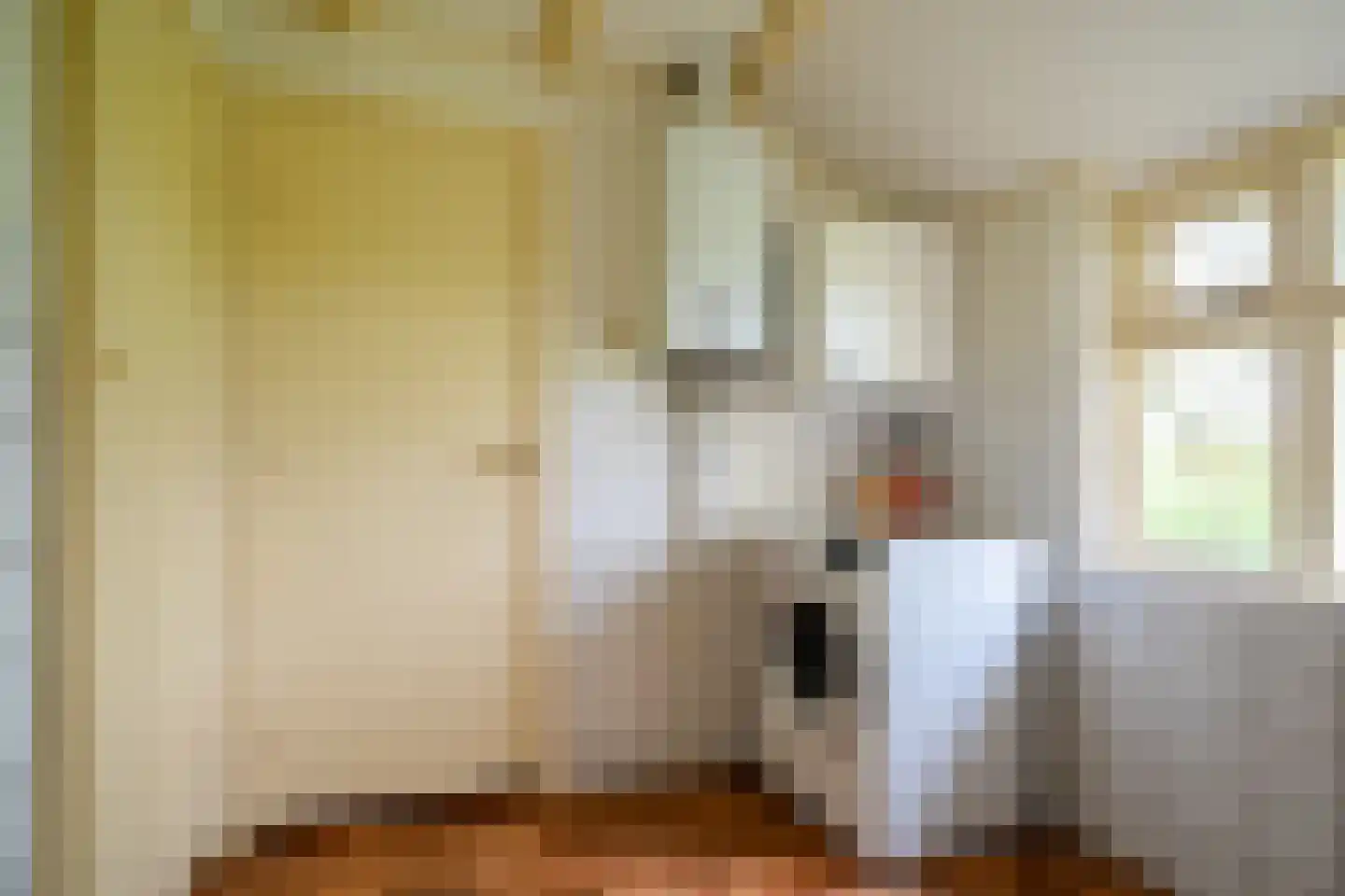Vrouwenlaan-achter 2 Kolham thumbnail 37