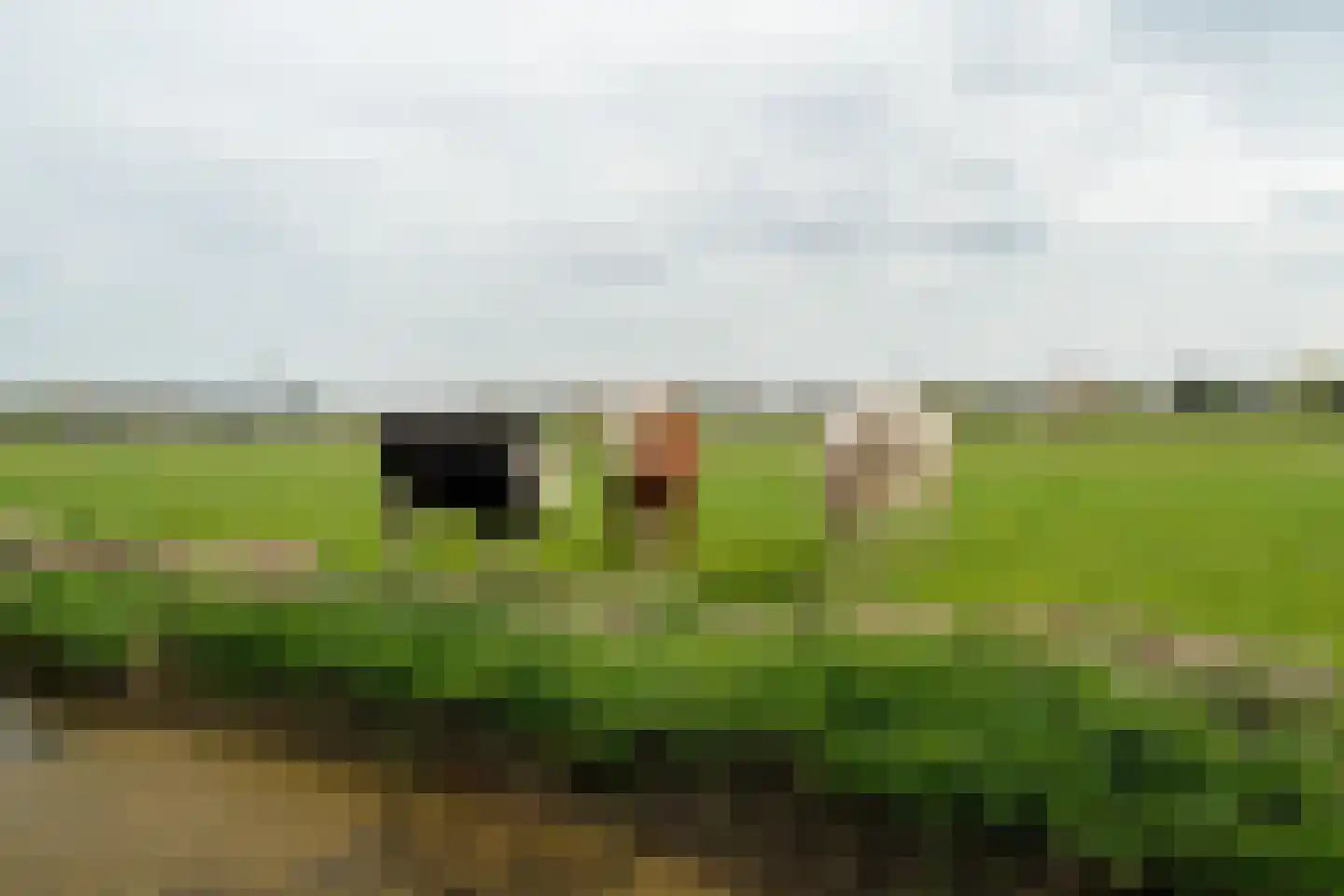 Vrouwenlaan-achter 2 Kolham thumbnail 5