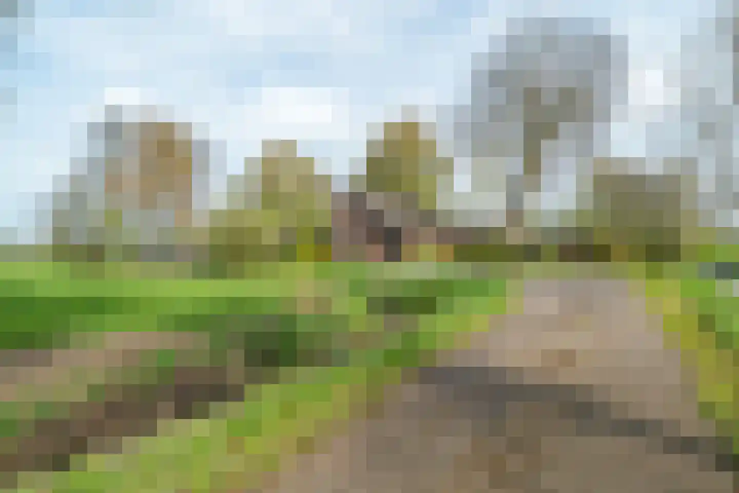 Vrouwenlaan-achter 2 Kolham thumbnail 54