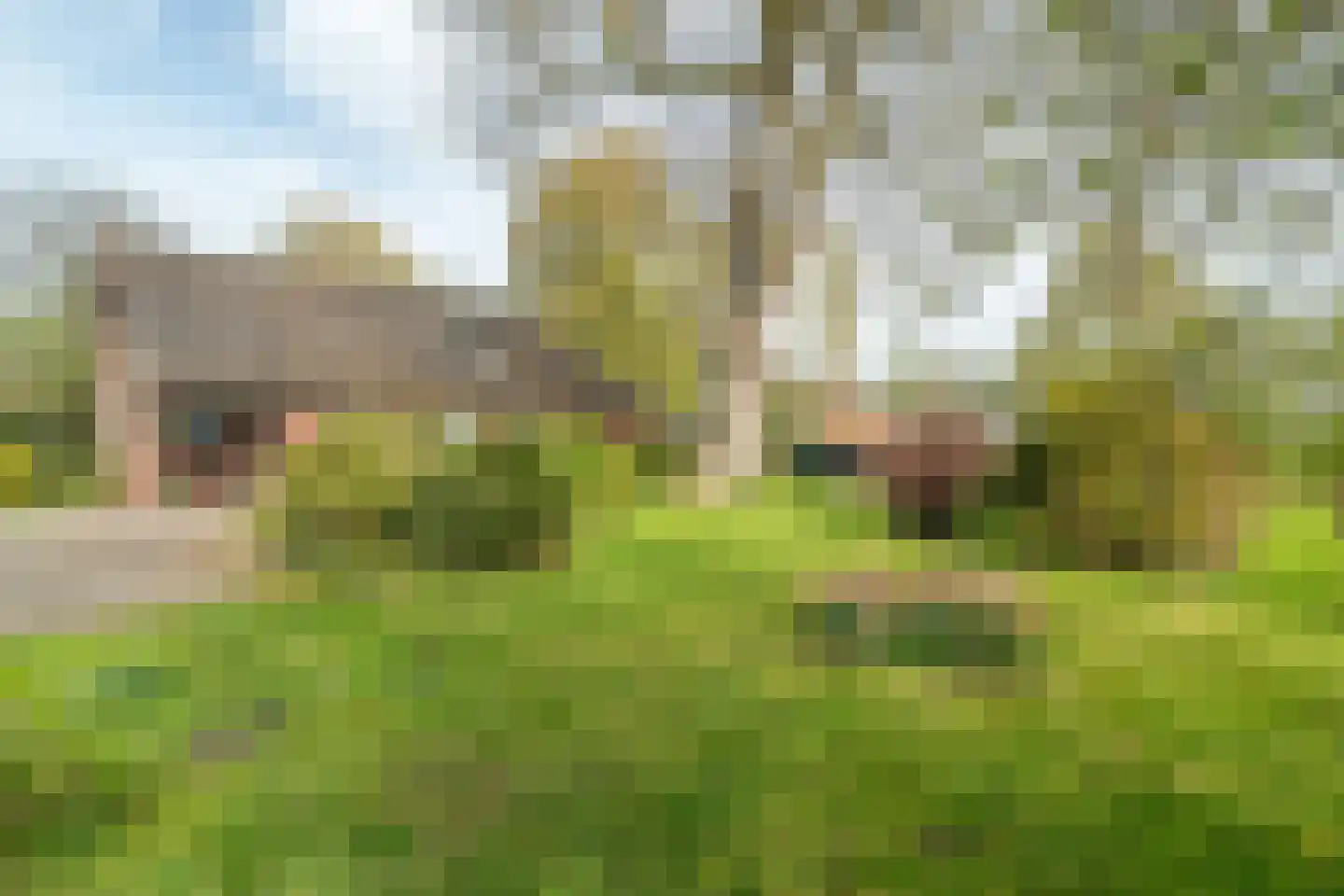 Vrouwenlaan-achter 2 Kolham thumbnail 55