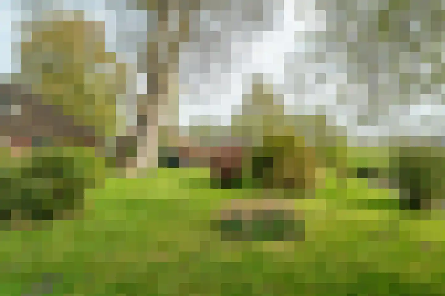 Vrouwenlaan-achter 2 Kolham thumbnail 56