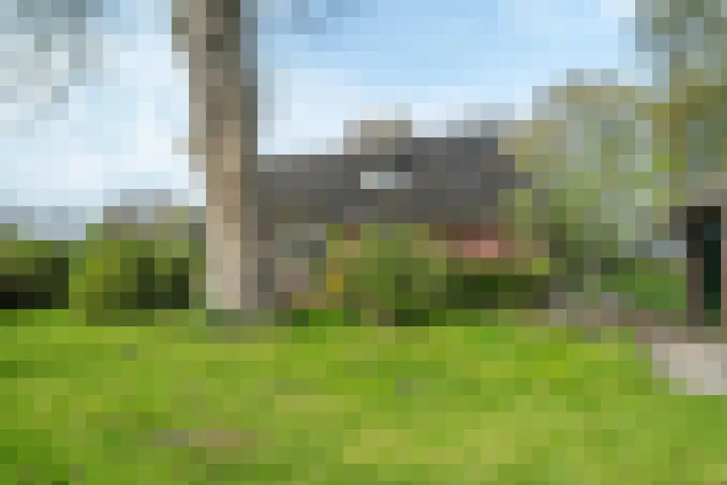 Vrouwenlaan-achter 2 Kolham thumbnail 58