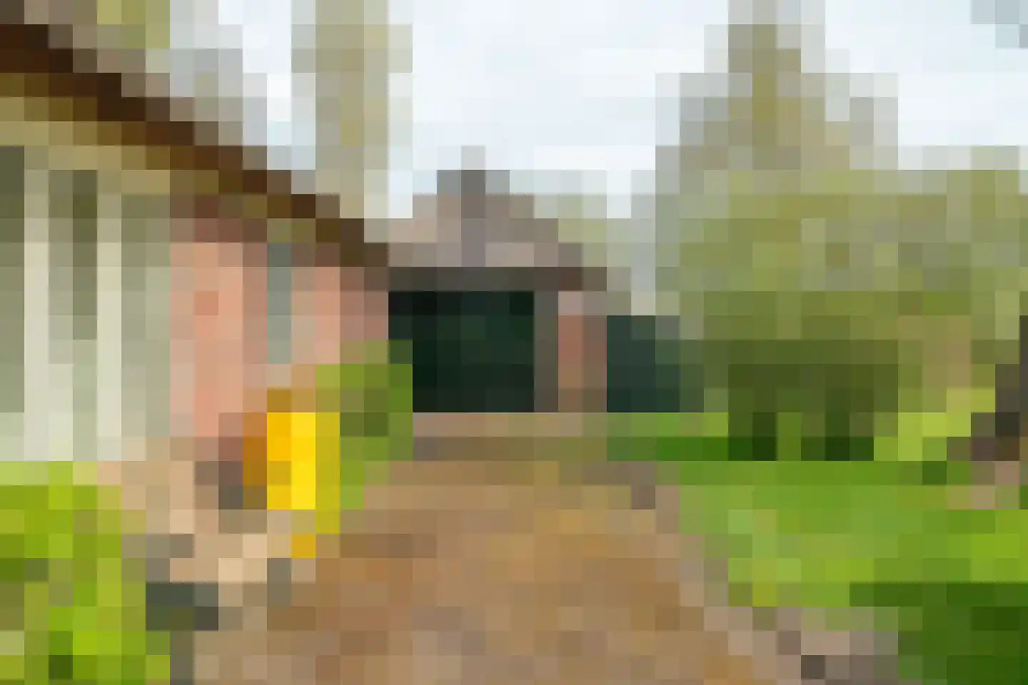 Vrouwenlaan-achter 2 Kolham thumbnail 59