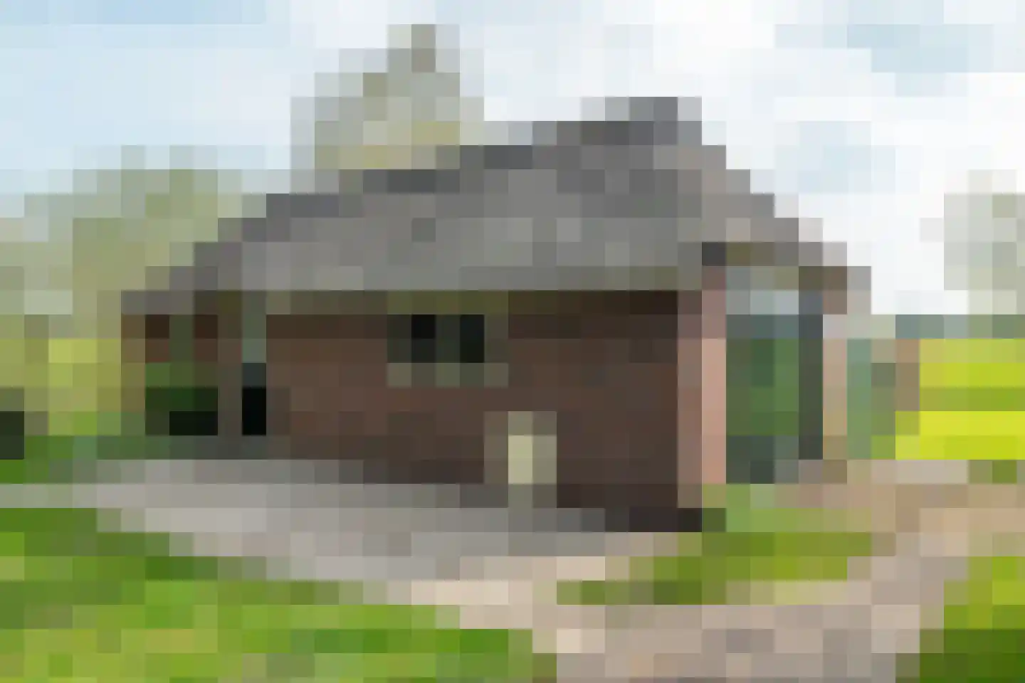 Vrouwenlaan-achter 2 Kolham thumbnail 61