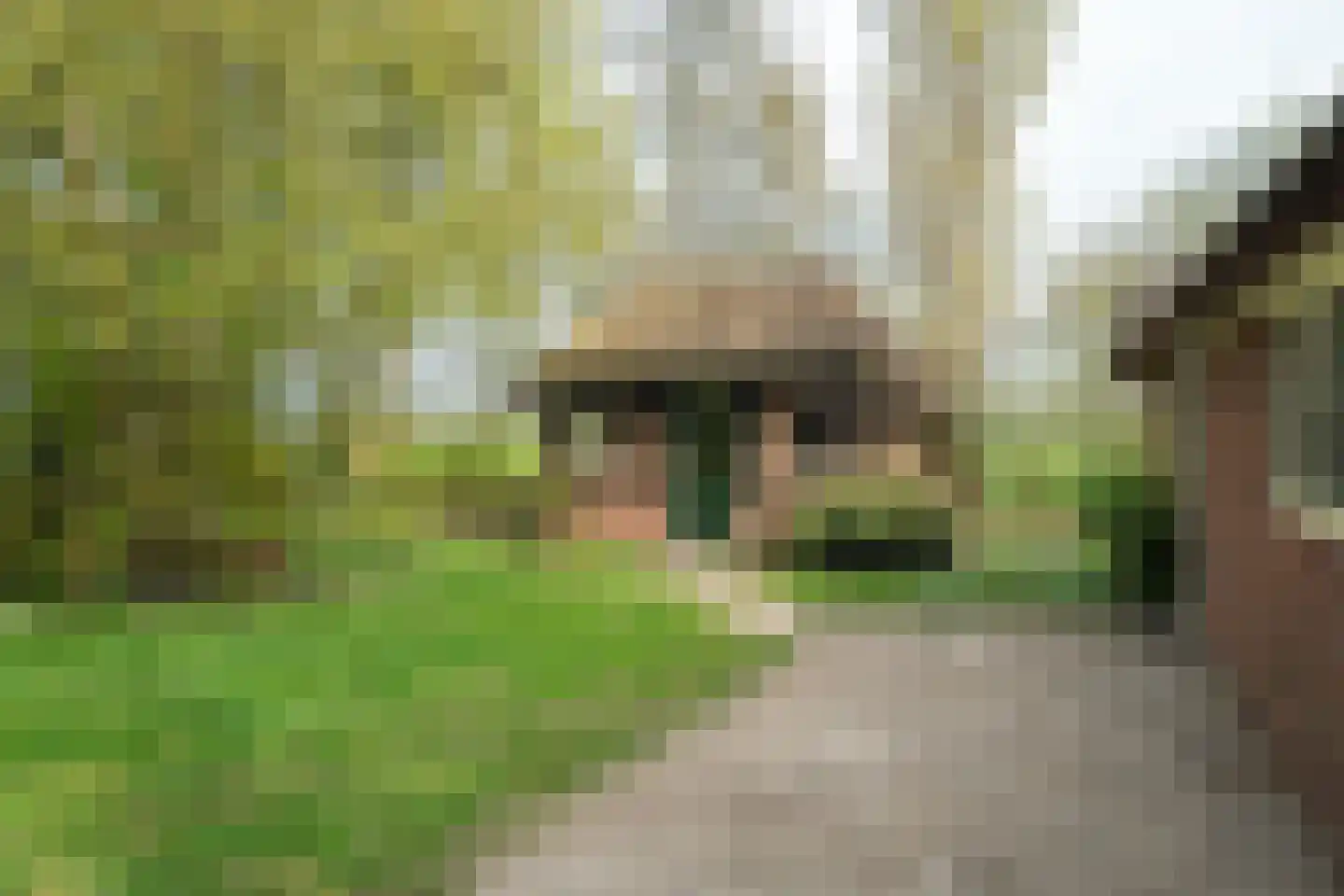 Vrouwenlaan-achter 2 Kolham thumbnail 64