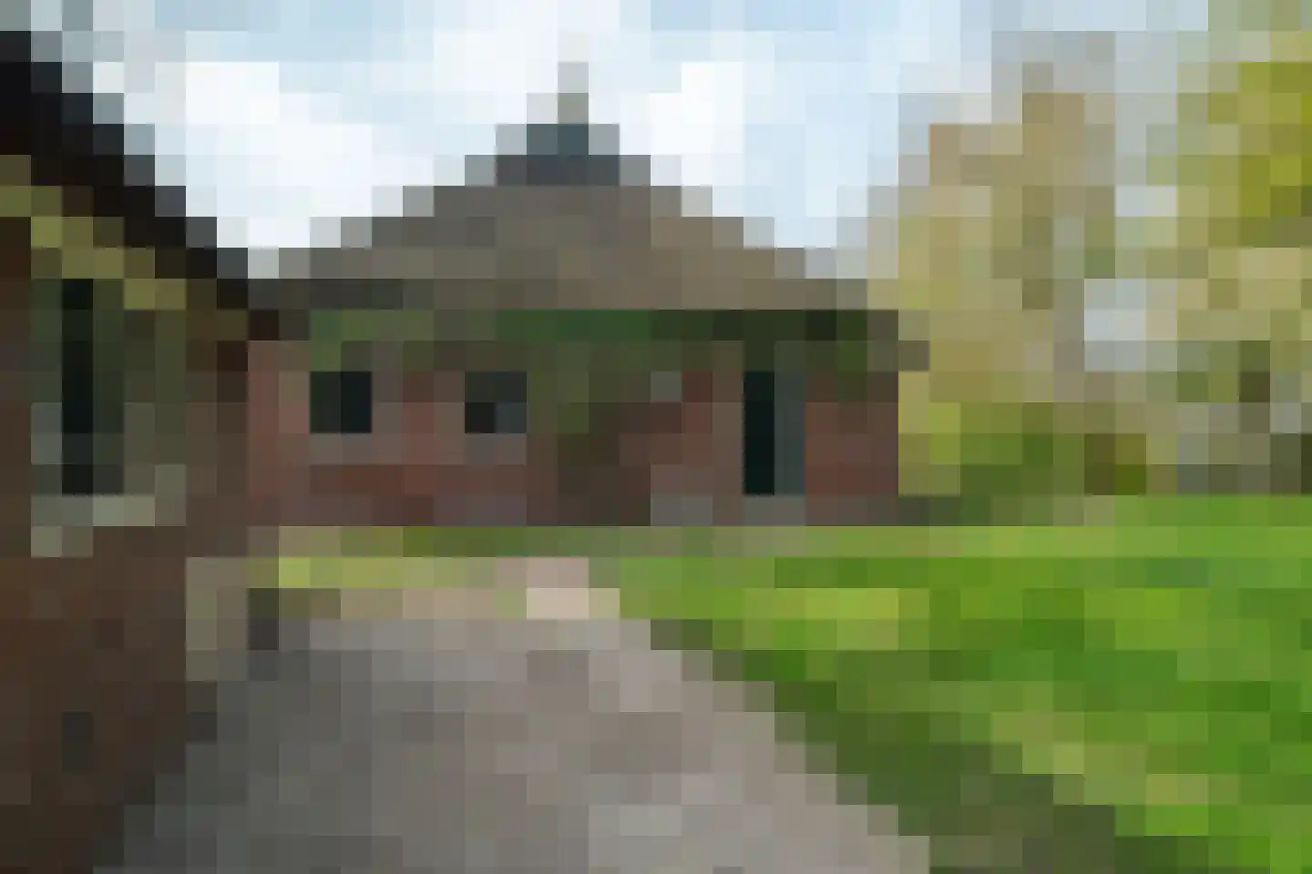 Vrouwenlaan-achter 2 Kolham thumbnail 67