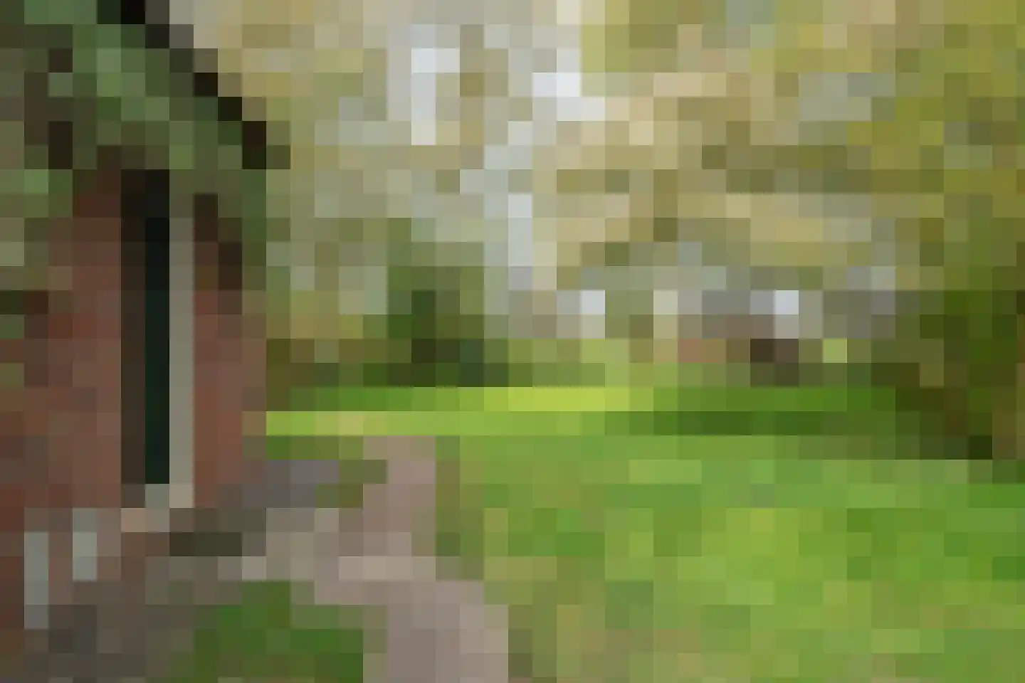 Vrouwenlaan-achter 2 Kolham thumbnail 68