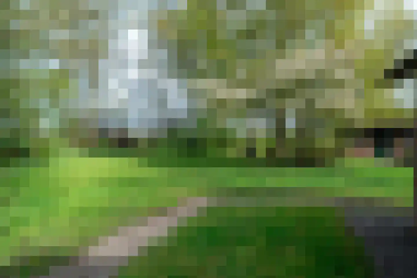 Vrouwenlaan-achter 2 Kolham thumbnail 69