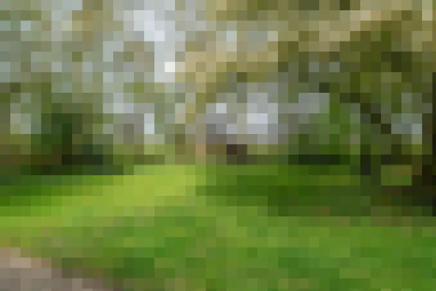 Vrouwenlaan-achter 2 Kolham thumbnail 70
