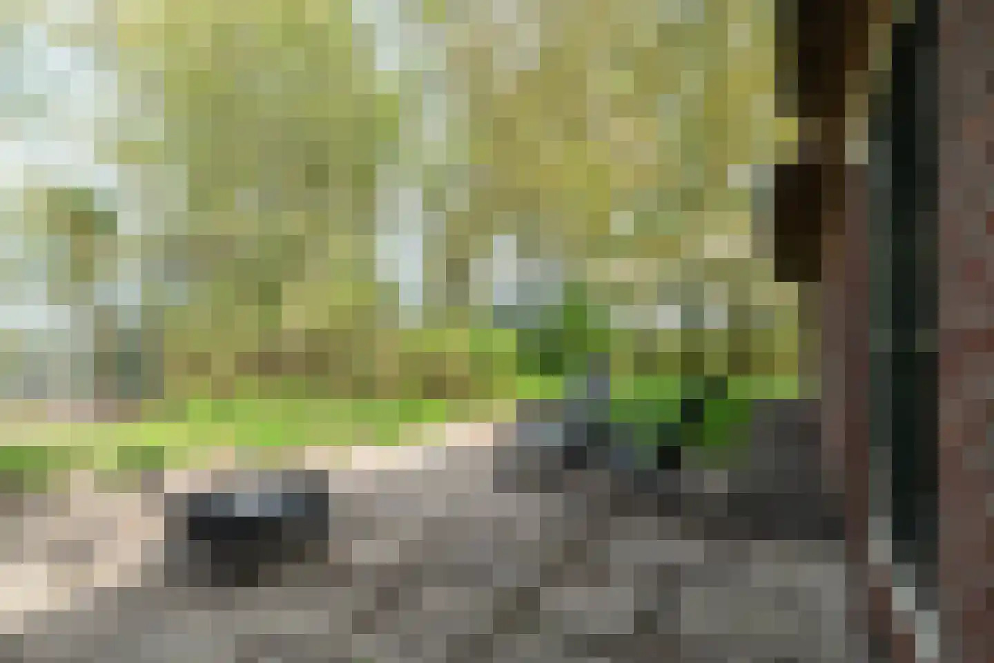 Vrouwenlaan-achter 2 Kolham thumbnail 72