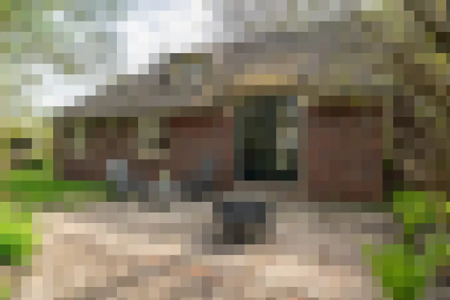 Vrouwenlaan-achter 2 Kolham thumbnail 73