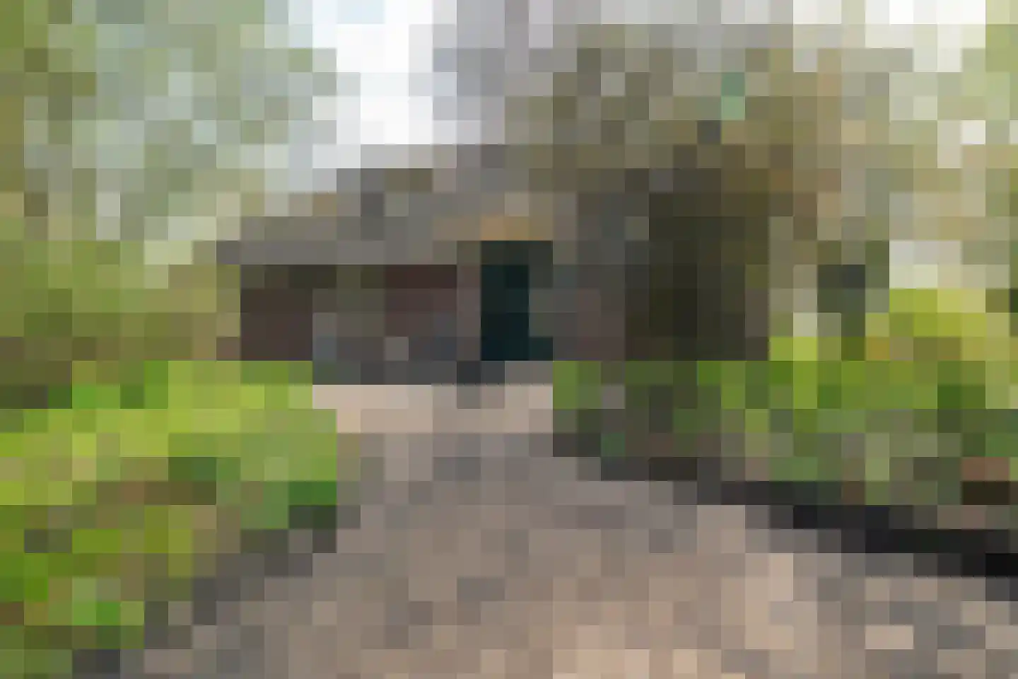 Vrouwenlaan-achter 2 Kolham thumbnail 74