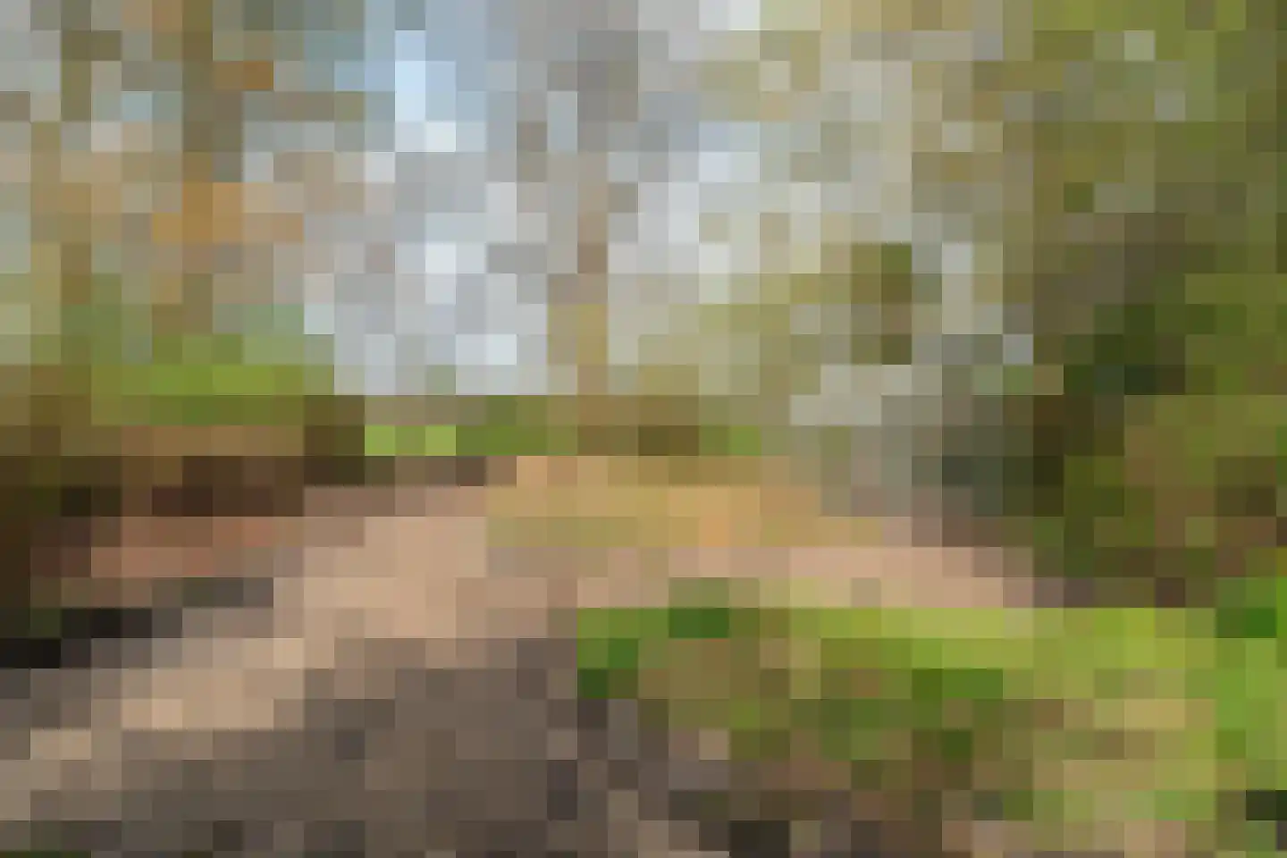 Vrouwenlaan-achter 2 Kolham thumbnail 75