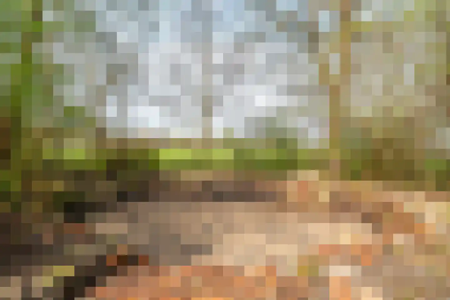 Vrouwenlaan-achter 2 Kolham thumbnail 76