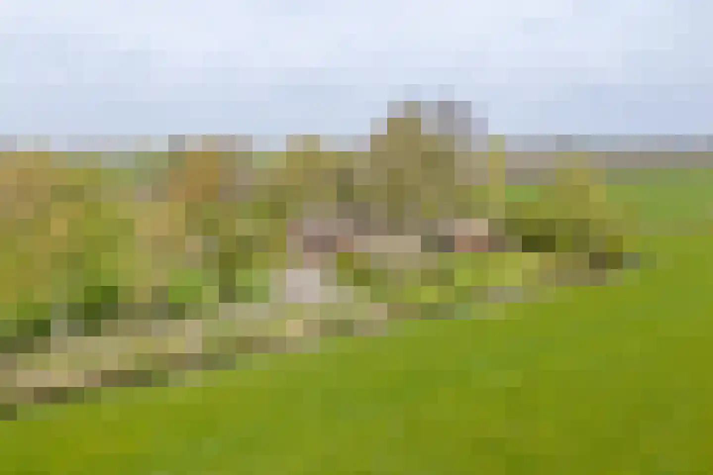 Vrouwenlaan-achter 2 Kolham thumbnail 77