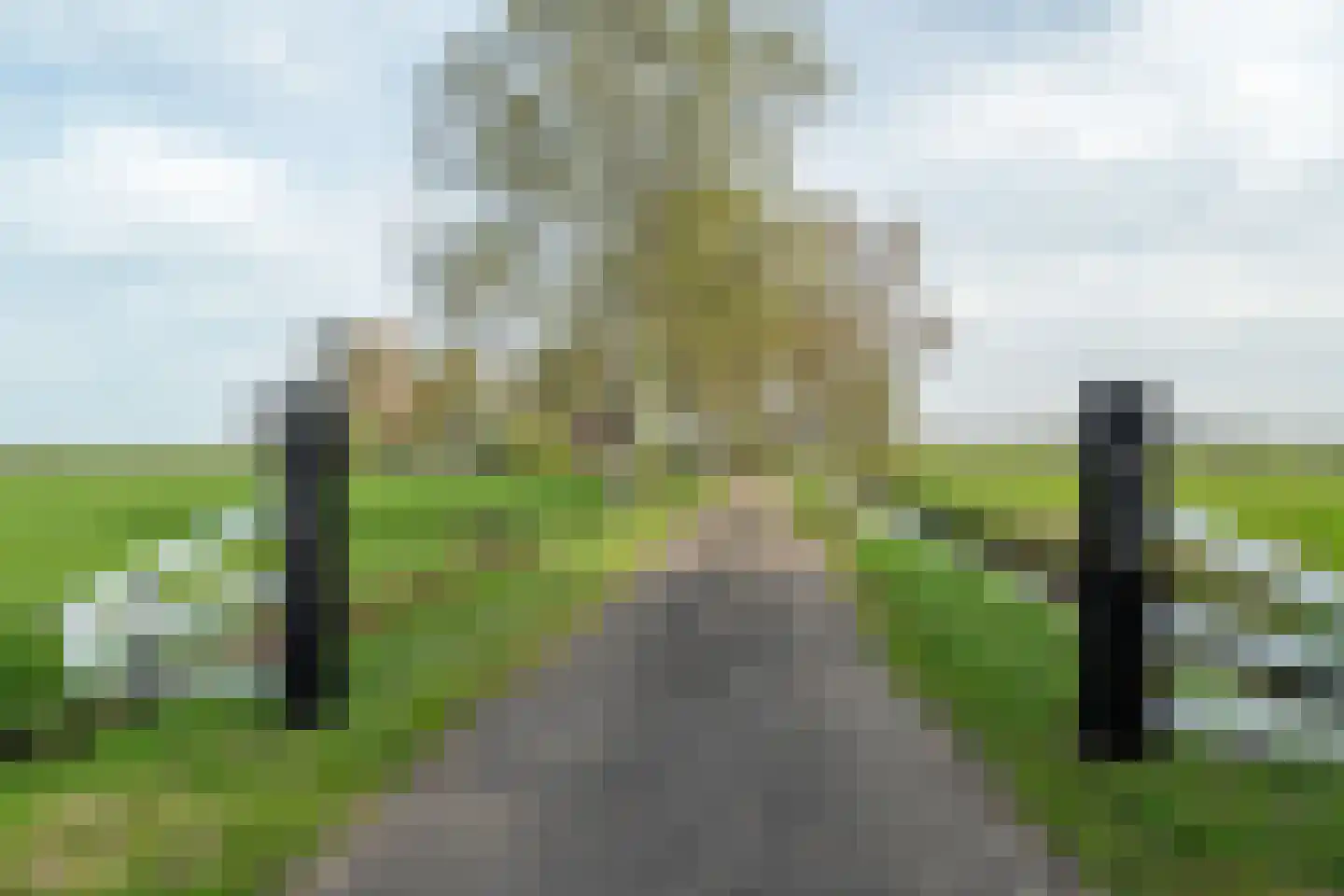 Vrouwenlaan-achter 2 Kolham thumbnail 8