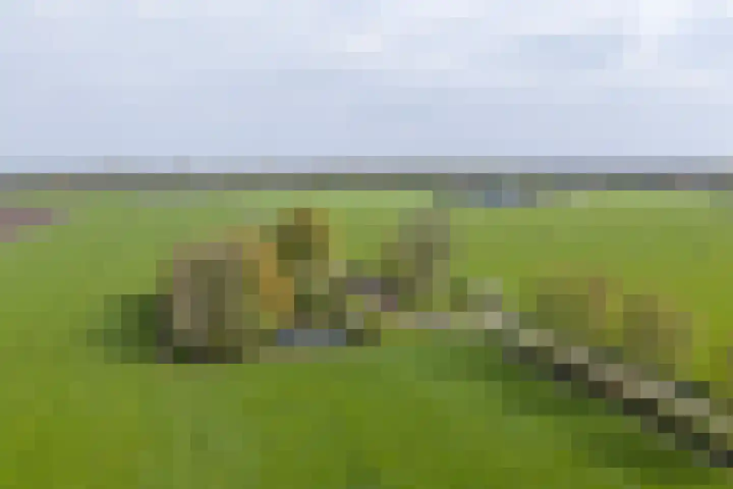 Vrouwenlaan-achter 2 Kolham thumbnail 80