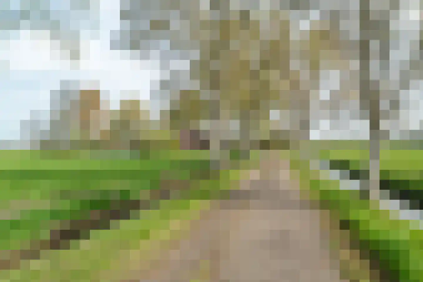 Vrouwenlaan-achter 2 Kolham thumbnail 9