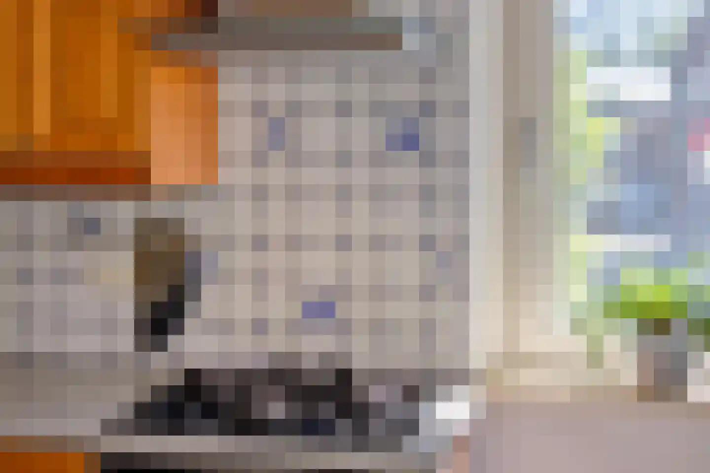 Vrouwenlaan-voor 10 Kolham thumbnail 14