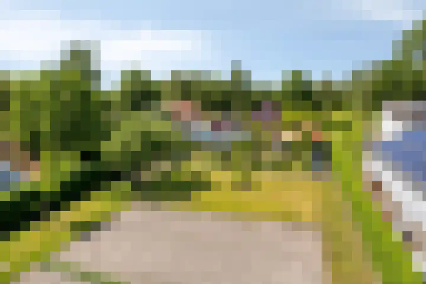 Vrouwenlaan-voor 10 Kolham foto 3