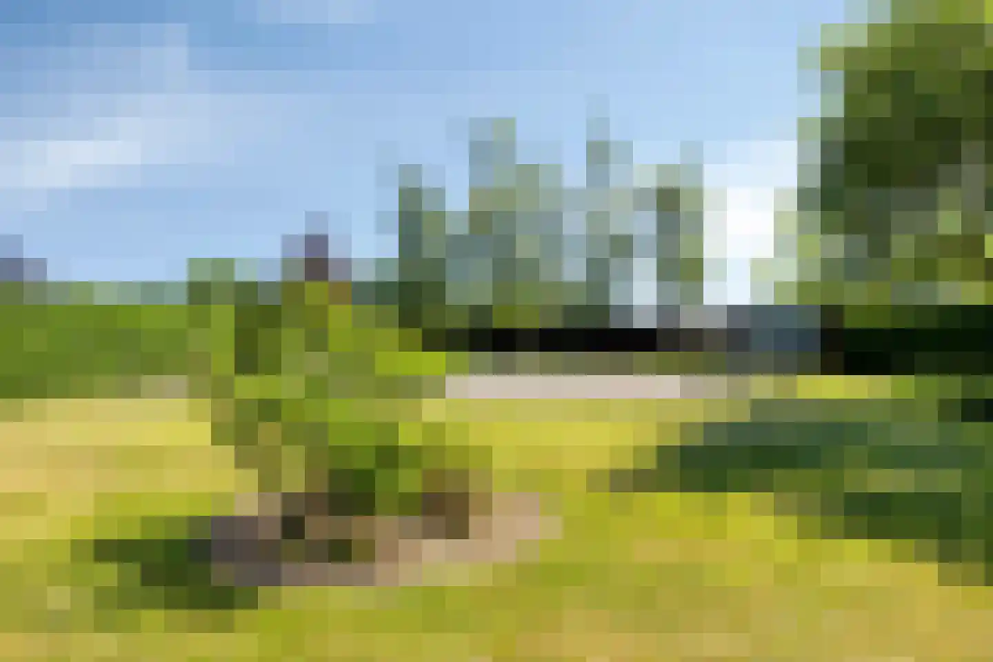 Vrouwenlaan-voor 10 Kolham thumbnail 39