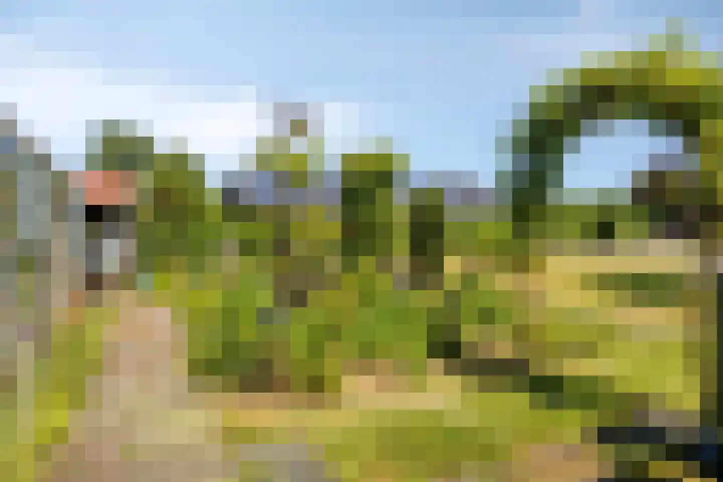 Vrouwenlaan-voor 10 Kolham thumbnail 43