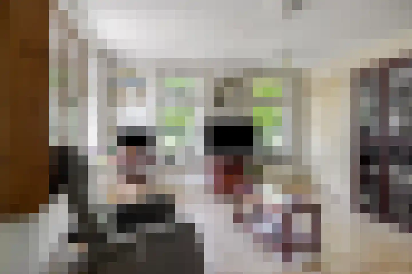 Vrouwenlaan-voor 10 Kolham thumbnail 5
