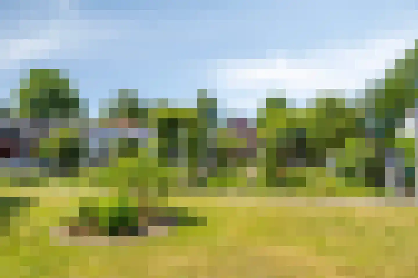 Vrouwenlaan-voor 10 Kolham thumbnail 50