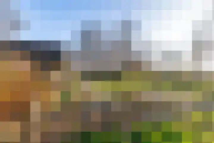 Vrouwenlaan-voor 18 Kolham foto 3
