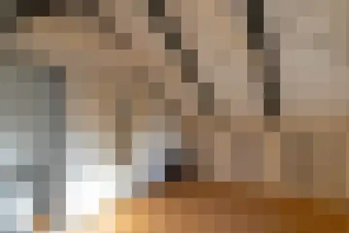 Vrouwenlaan-voor 18 Kolham thumbnail 34