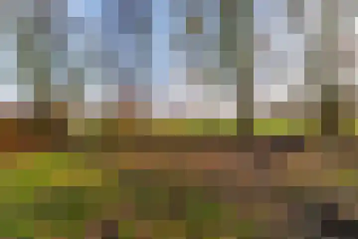 Vrouwenlaan-voor 18 Kolham thumbnail 57