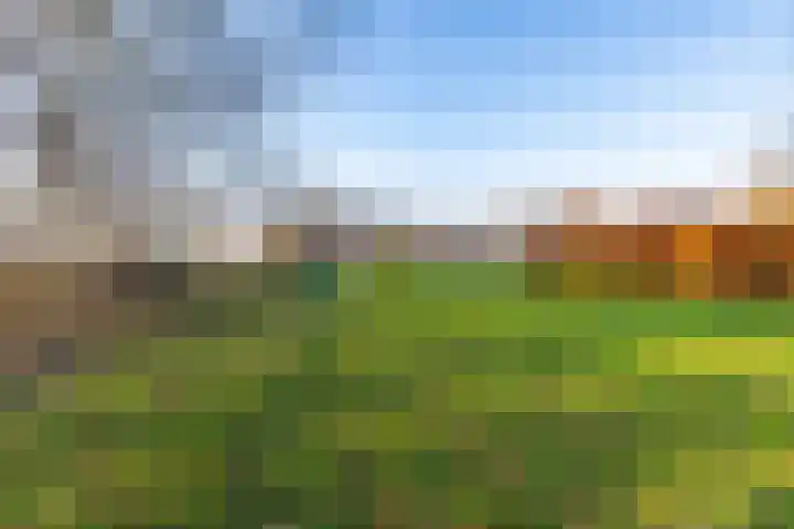 Vrouwenlaan-voor 18 Kolham thumbnail 9