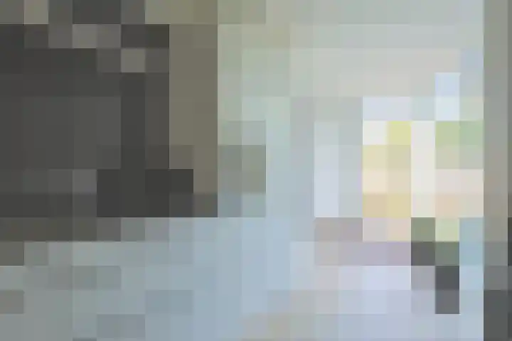 Vrouwenmantel 1 Berkel-Enschot thumbnail 12