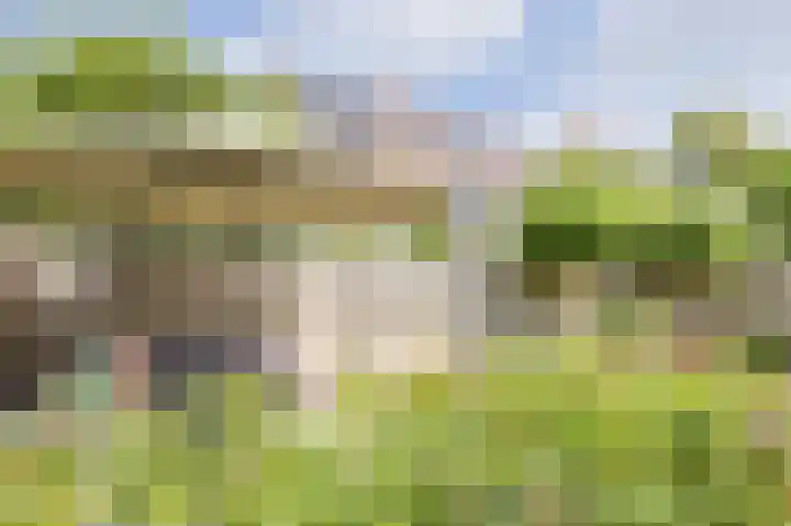Vrouwenmantel 1 Berkel-Enschot thumbnail 28