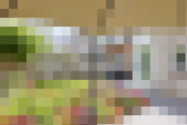 Vrouwenmantel 1 Berkel-Enschot thumbnail 30
