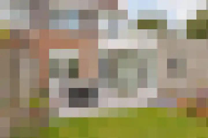 Vrouwenmantel 1 Berkel-Enschot thumbnail 31
