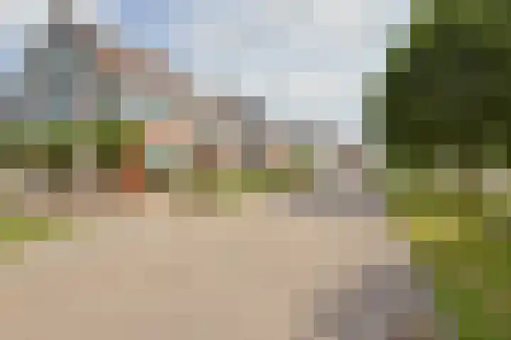 Vrouwenmantel 1 Berkel-Enschot thumbnail 32