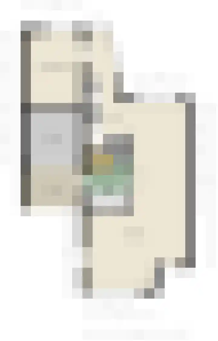 Vrouwenmantel 1 Berkel-Enschot thumbnail 36